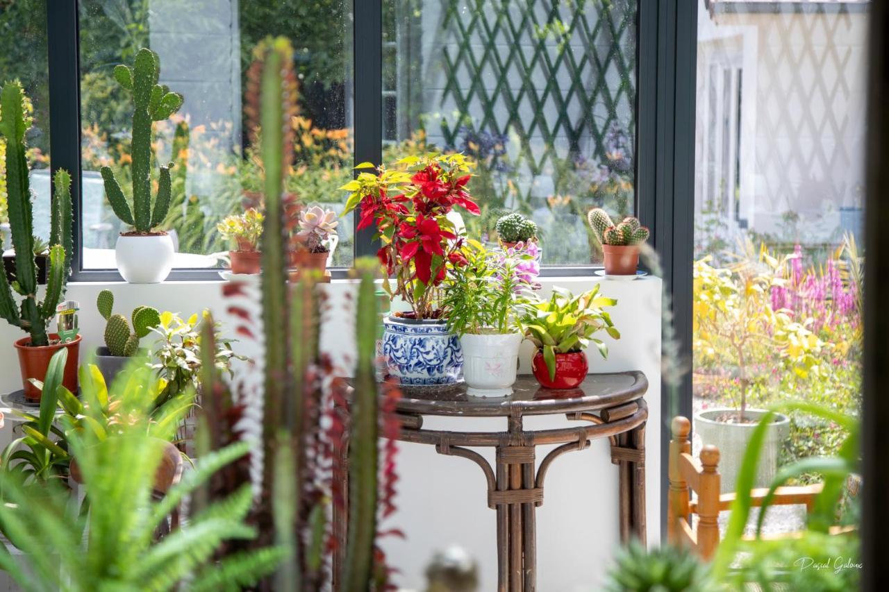 Villa Marguerite 65 Rue Legout Lesage 76260 Ponts Et Marais Eksteriør billede